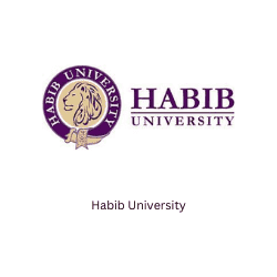 Habib University BeeHive Consultants Pvt Ltd Entrepreneurship Startups